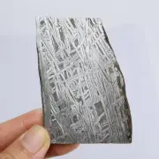 107g Muonionalusta meteorite slice R1593