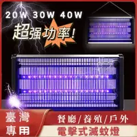 在飛比找蝦皮購物優惠-公司貨🔥2023新款電擊式滅蚊燈 110V 燈帶式滅蚊燈 藍