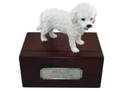Beautiful Paulownia Wood Personalized Urn with White Cockapoo Figurine