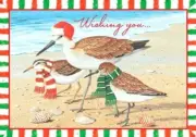 Sandpipers Birds on the Beach Boxed Christmas Greeting Cards Tropical 18 Ct NEW