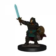 Dungeons and Dragons Premium Female Dwarf Paladin Pre-Painted Figure