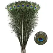 Long Peacock Feathers Bulk - 40pcs 28-32 inches for Floral Arrangements,