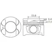 Austral Piston Set - P1018B STD
