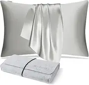DISANGNI 100% Natural Mulberry Silk Pillow case for Hair and Skin with Hidden Zipper 22 Momme Both Sides Real Silk Pillow Case (1pc Standard Size 20" x26", Light Grey)