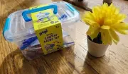 Pop Mini Canvas 9 Pcs - Mini Canvas, Easel, 4 Paints, Brush, Pencil, Sharpener
