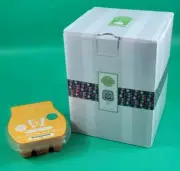 Scentsy CUT IT OUT Halloween Mini Warmer NIP Fall Orange Jack O Lantern Pumpkin