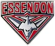 Essendon Bombers Logo Metal Pin Badge