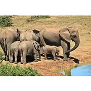 Save 20.00%! 4 Day Kruger National Park and Panorama Tour from Johannesburg