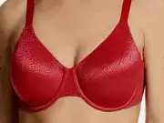Wacoal Barbados Cherry Appeal Minimizer Underwire Bra 855303 SZ 38 DD Nwt $72