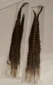 PHEASANT FEATHER SIZES 14-16" New! (6 Pieces)