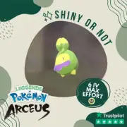 Budew Shiny ✨ Legends Pokémon Arceus 6 IV Max Effort Custom OT Leggende