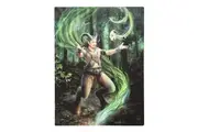 Anne Stokes Earth Elemental Wizard Canvas Plaque (Multicoloured) (25cm x 19cm)