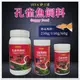 ISTA 伊士達 孔雀魚飼料 60g/150g/250g 小型魚 觀賞魚 孔雀魚 燈科魚 球魚 有效替代活餌