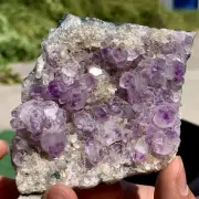 151G Natural amethyst geode quartz cluster crystal specimen healing