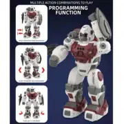 2.4GHZ INTELLIGENT SPRAY ROBOT APE GESTURE SENSING RC TOY BOY KID BIRTHDAY GIFT
