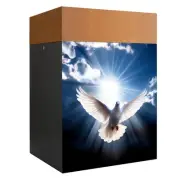 Cremation Urns for Human Ashes Adult Male Female, Wooden Urns Box and Casket ...