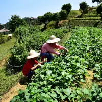 在飛比找蝦皮購物優惠-[宜蘭]原野手作趣-香格里拉休閒農場