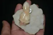 stilbite on chalcedony mineral specimen india #531
