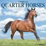 AMERICAN QUARTER HORSES 2022 WALL CALENDAR