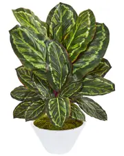 Nearly Natural Maranta Artificial Plant in White Vase