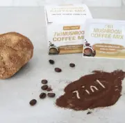 Mushroom Coffee Mix 7 in 1, with Ginkgo, Lions Mane, Alpha-GPC – 12 Sachets