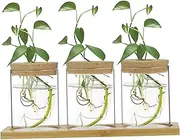 Plant Terrarium 3Pcs Water Planting Propagation Jars with Tray Lidded Transparent Minimalist Propagation Stations for Tabletop Toilet Balcony