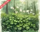 Oxalis Wood Sorrel in a woodland Watercolor 8x10 Print