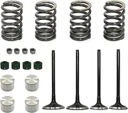 daili Store Engine Intake Exhaust Valve Stem Seal Spring Lifter Buckets Tappet Cotters Kit Compatible with Arctic Compatible with Cat DVX400 2004 2005 2006 2007 2008