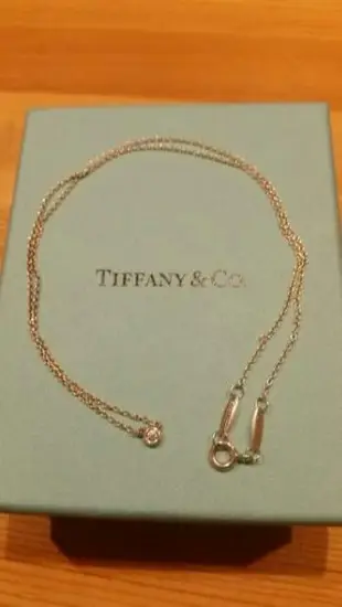 專櫃真品 Tiffany 經典入門款 3分 單鑽 純銀 項鍊 Diamonds by The Yard 高畑充希