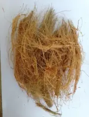 Ceylon Coconut Husk Fiber 100% Natural Organic Anthurium & Orchids Plant Garden