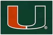 FANMATS 31693 University of Miami HiDef Rookie Mat|U|18 x 30 inches
