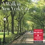 A WALK IN NEW YORK CITY 2020 CALENDAR