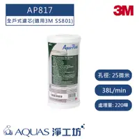 在飛比找蝦皮商城優惠-【3M】 AP817 全戶式濾芯(適用3M SS801 全戶