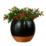 Sill & Sage Terracotta Style Ceramic Planter Home Decor Indoor Pot Black 17cm