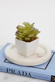 Green Artificial Potted Cactus - Size ONE, Women's Decorations
