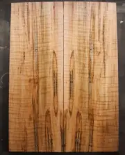 Curly spalted ink line maple drop top .38" thk guitar bass tonewood 2632