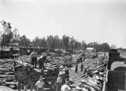 Red Cliffs Victoria 1924 - Men unloading timber at the railway yar- Old Photo