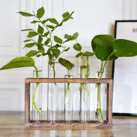 在飛比找松果購物優惠-簡約現代試管水培玻璃花瓶花器插花植物容器裝飾擺件 (8.3折