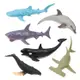 6入仿真海洋動物模型(小隻)(硬材質)(安全塑料)【888便利購】 (7.5折)