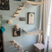 Cat Wooden Furniture Cat Scrapers Hammock Platform and Extended Scratching Post