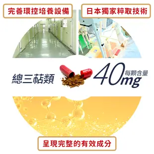 【COSHIA科雅健研】AC-200 牛樟芝子實體素食膠囊