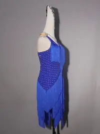 在飛比找Yahoo!奇摩拍賣優惠-2023新款藍色拉丁舞比賽表演服裝專業舞蹈流蘇連身裙花服14