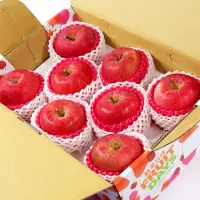 在飛比找momo購物網優惠-【鮮果日誌】日本空運套袋富士蘋果(8入禮盒裝)