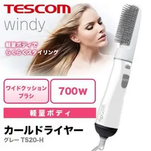 Tescom TS20 負離子整髮器 吹風機 梳子 直髮捲 整髮吹風機 日本帶回 近全新