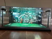 Brian Dawkins Custom 2-card PSA & BGS display case with LED lights - Eagles