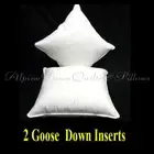 DOWN FEATHER SCATTER CUSHION INSERTS X 2 - 60 x 60cm- 30% GOOSE DOWN ONLINE SALE