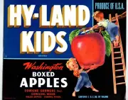 Hy Land Kids Apples Crate Label 1940s Boys Vintage On Ladder Original Washington
