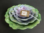 RACHEL ASHWELL nwt Set of 4 Nesting Melamine Bowls Floral/Succulents