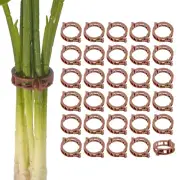 300-Pack Tomato Clips, Plastic Trellis Plant Support Clips for Vine [Brown]