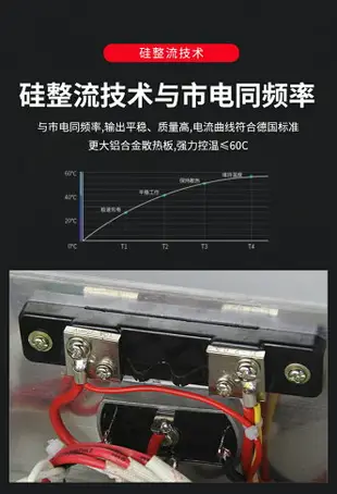 【可開發票】德力西各類電瓶充電器 蓄電池直流純銅充電機GCA-H20A 6V 12V 24V